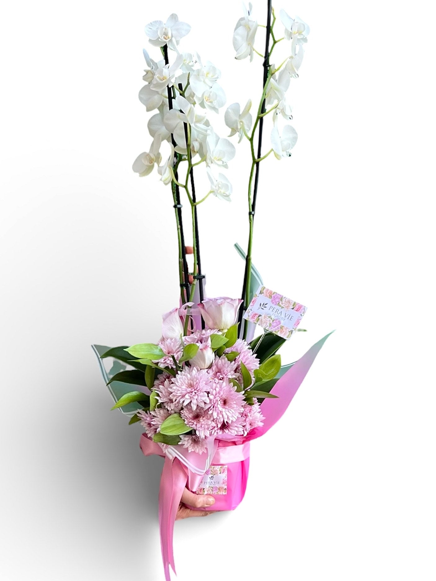 Beyaz Orkide ve Pembe Mevsim Çiçekleri